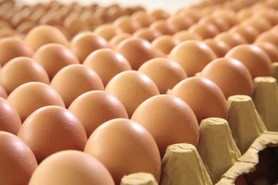 北海鸡蛋检测价格,鸡蛋检测机构,鸡蛋检测项目,鸡蛋常规检测